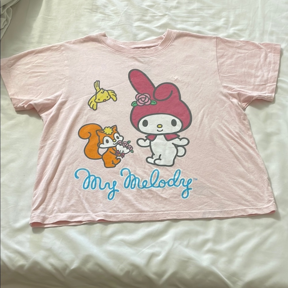 Sanrio Pink Short Sleeve Tees with Cartoon Graphics